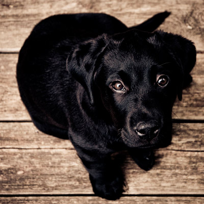 ddos流量攻击购买