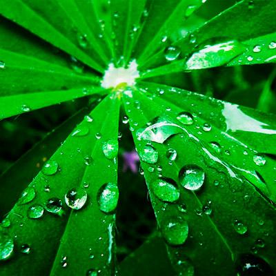 免费DDOS攻击测试工具