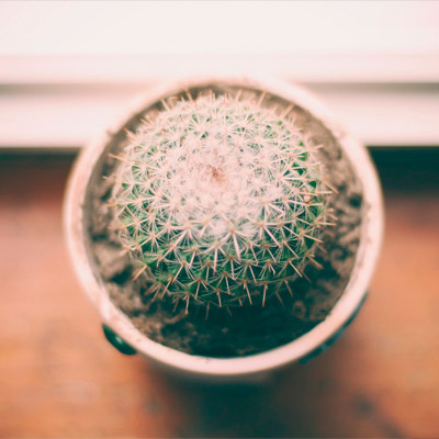 ddos流量攻击购买